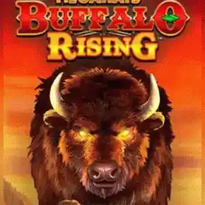 Buffalo Rising Megaways All Action